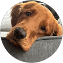 Benny profile picture