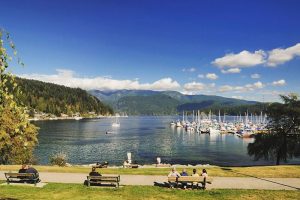 Appliance Repair Deep Cove