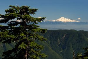 maple-ridge-bc-canada-min-r0pu64r2ezqrm6gkm8gah960f79iqt5id27et19ln4
